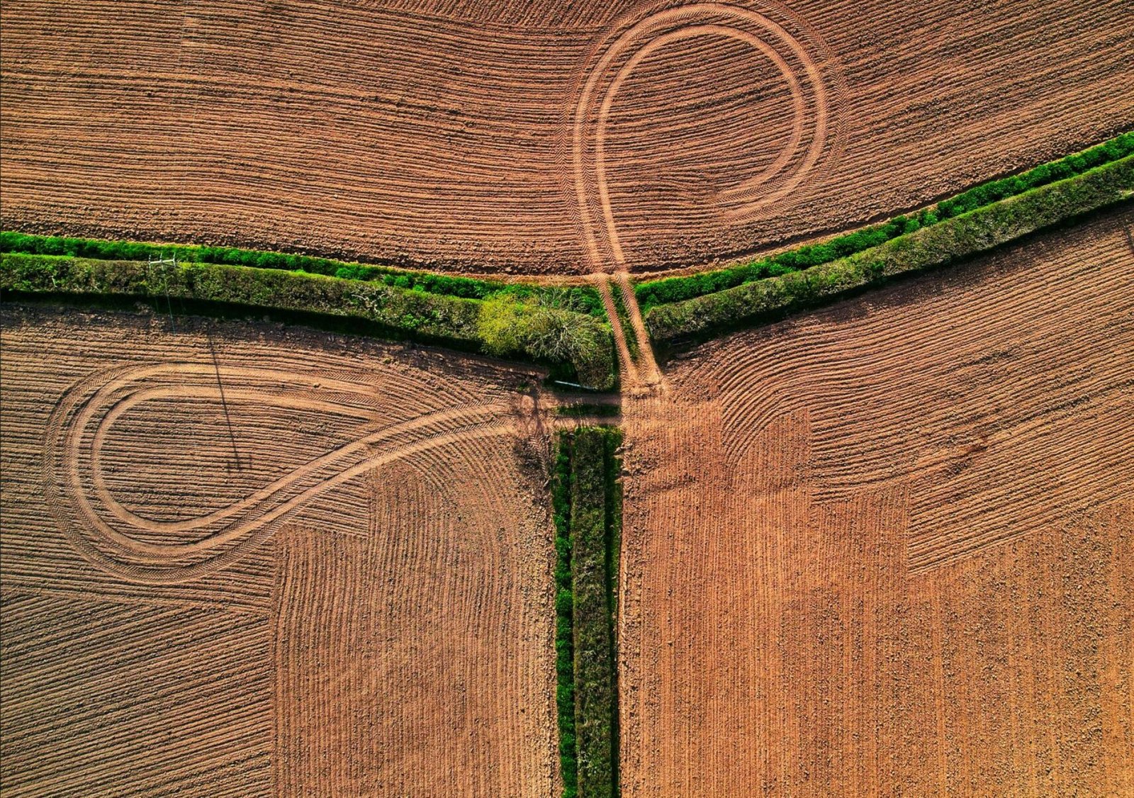 Aerial View of a Vast Arid Wasteland